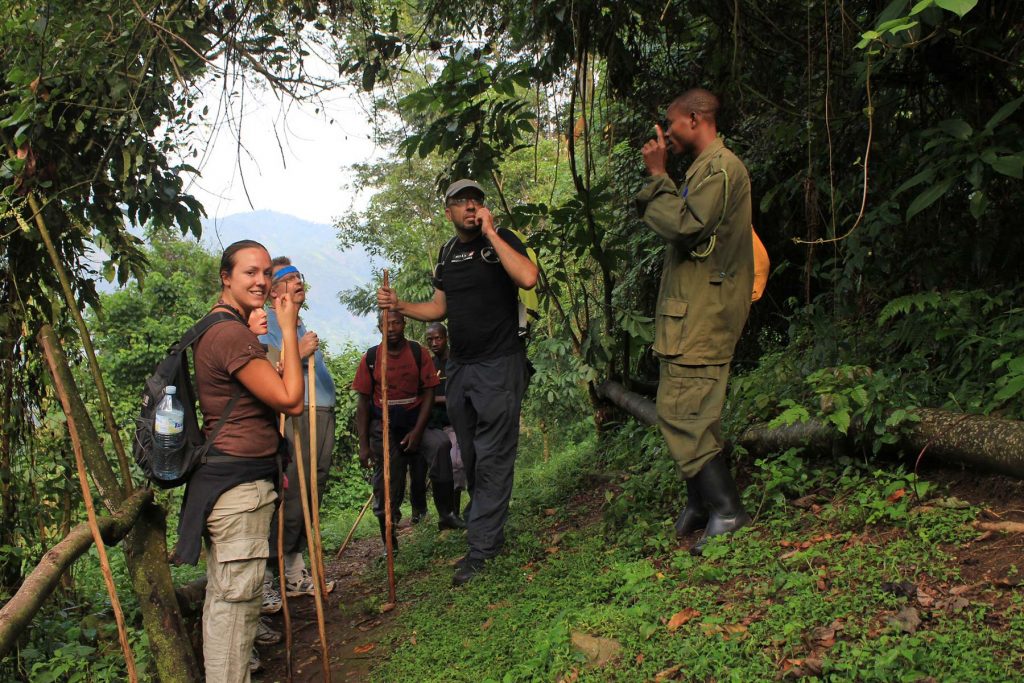 Bwindi Impenetrable National Park